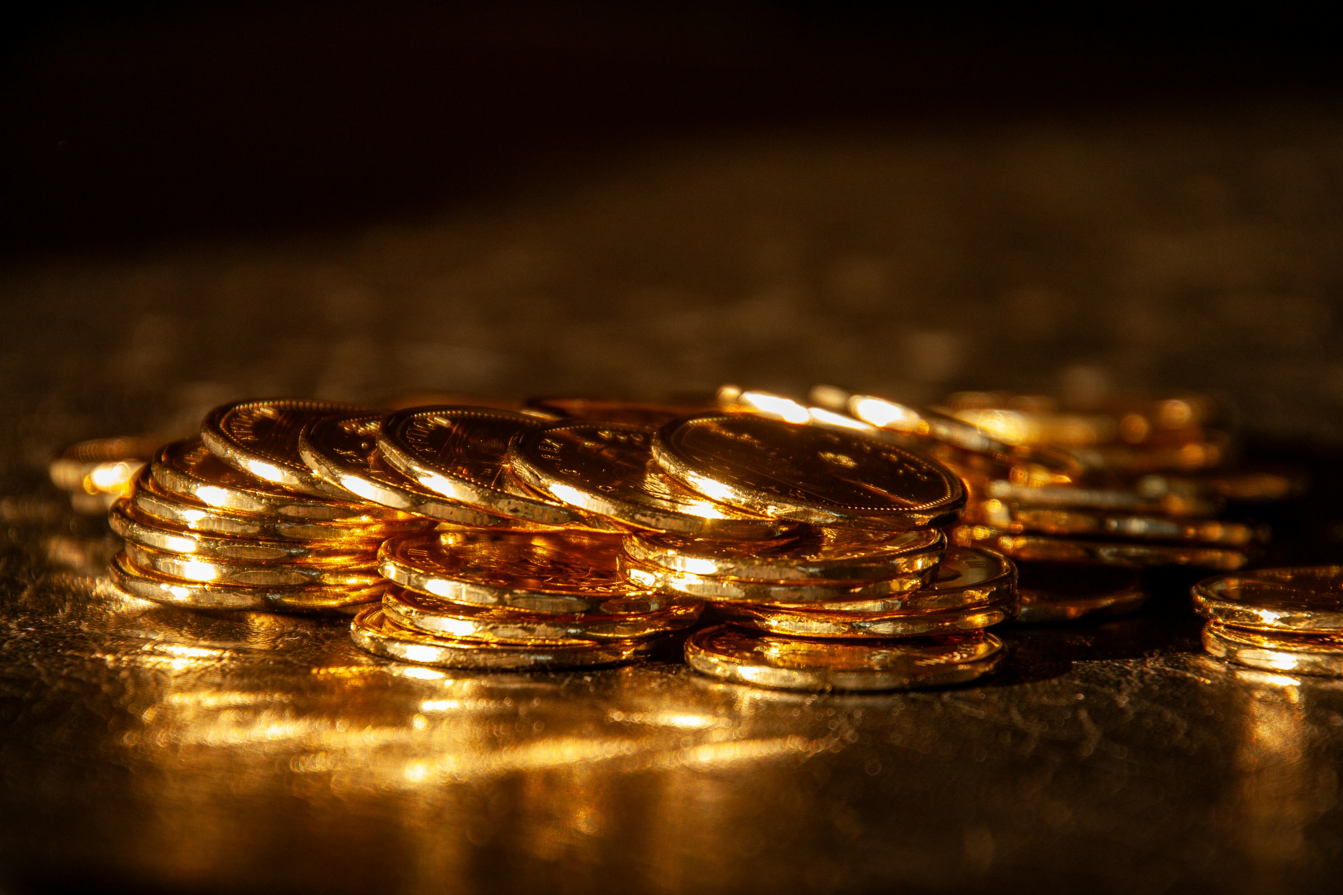 A bunch of mint loonies in the morning sun.